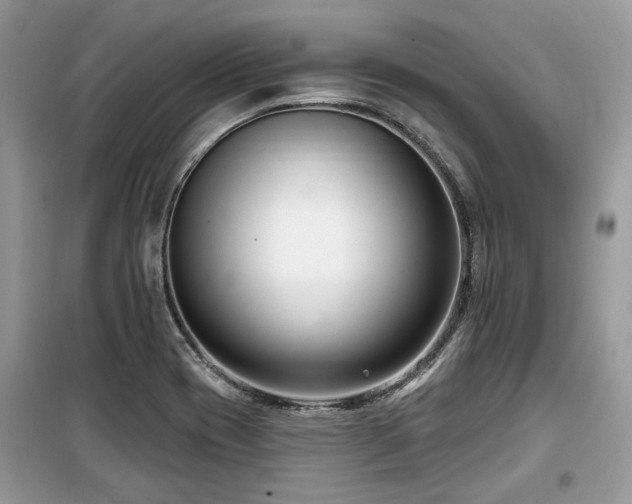 X0000099561417200805161441