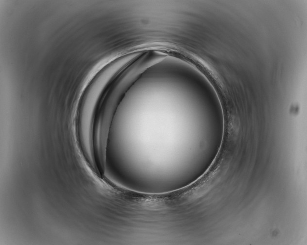 X0000099561418200805161441