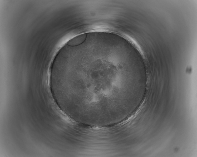 X0000099561419200805161441
