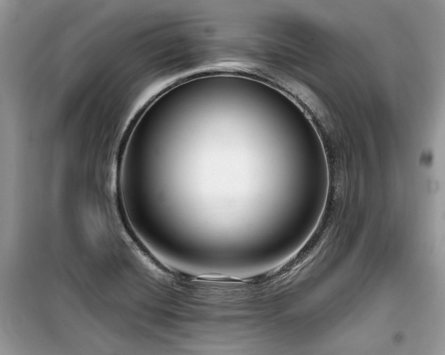 X0000099561420200805161441