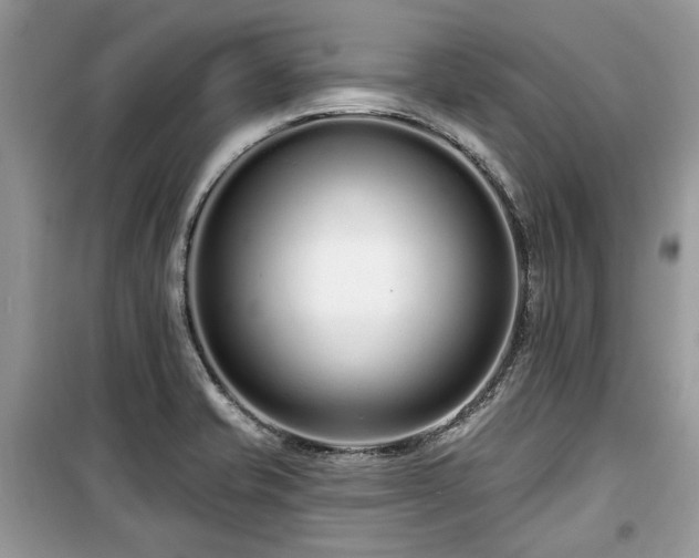 X0000099561421200805161441