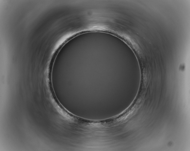 X0000099561422200805161441