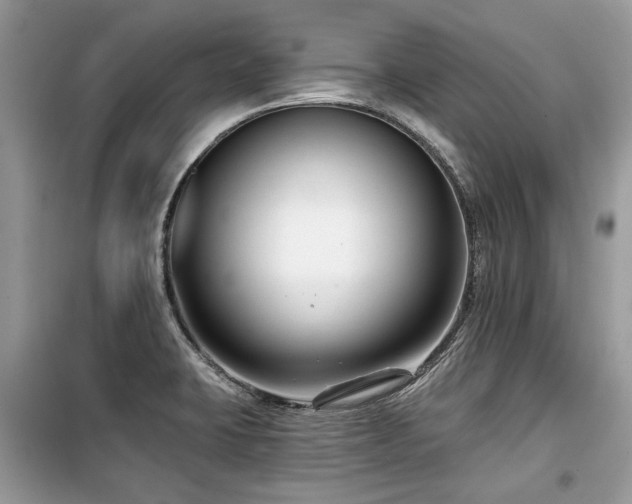 X0000099561423200805161441