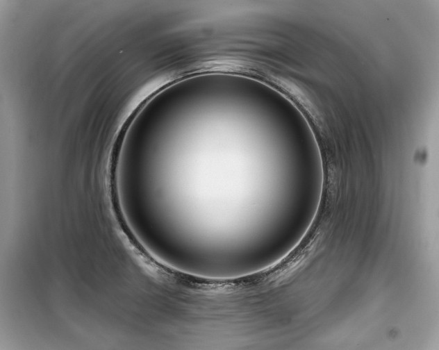 X0000099561426200805161441