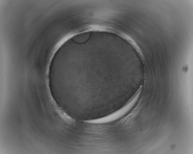 X0000099561427200805161441