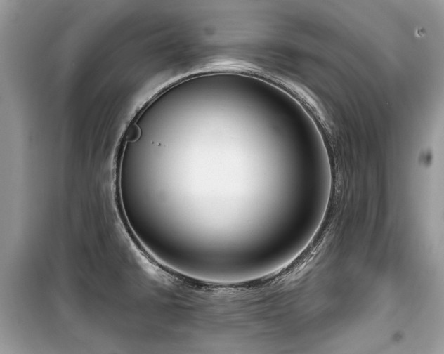 X0000099561430200805161441