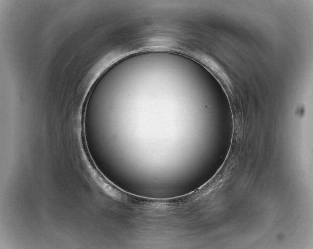 X0000099561431200805161441