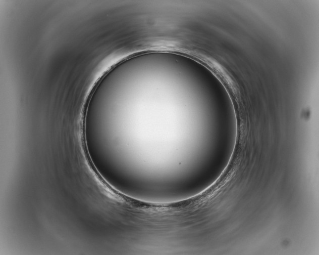 X0000099561432200805161441