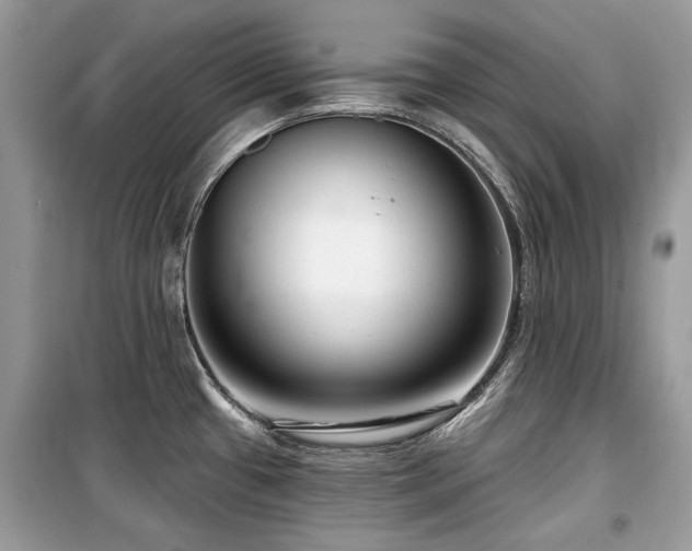 X0000099561433200805161441