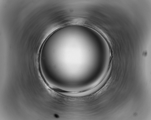 X0000099561434200805161441