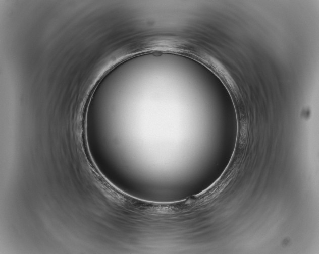 X0000099561435200805161441