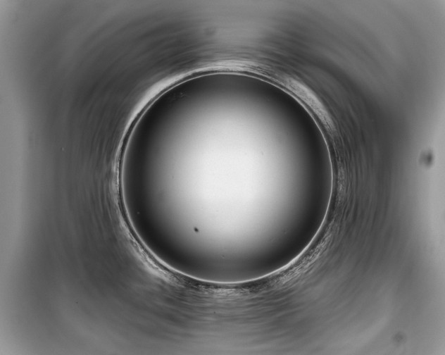 X0000099561436200805161441
