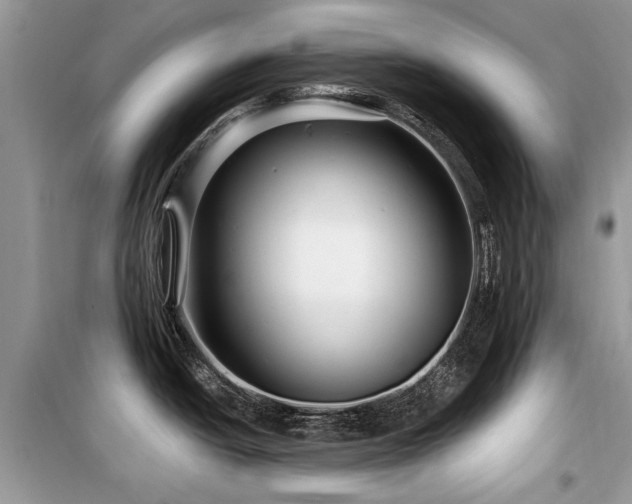 X0000099561438200805161441