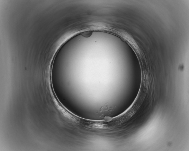 X0000099561439200805161441