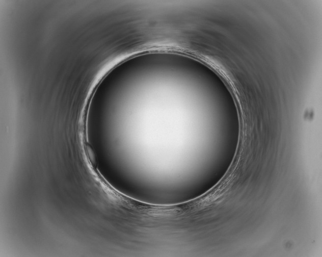 X0000099561440200805161441