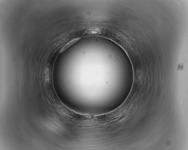 X0000099561442200805161440