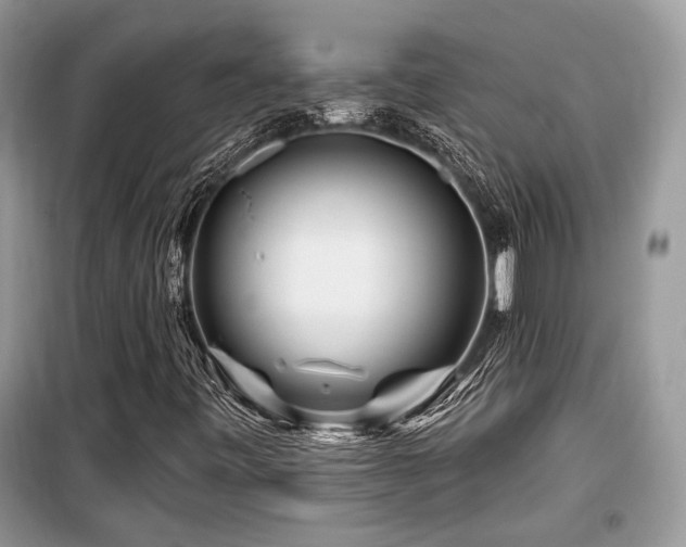 X0000099561443200805161440