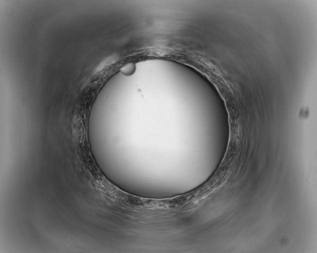 X0000099561446200805161440