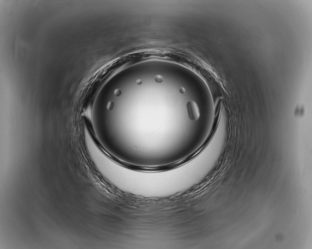 X0000099561448200805161440