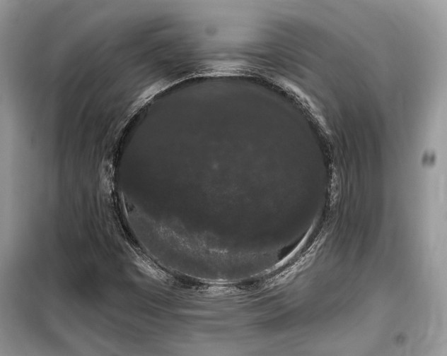 X0000099561449200805161440