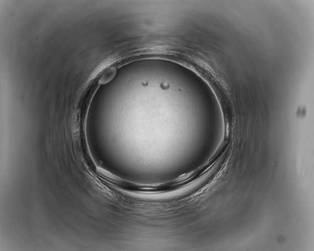 X0000099561450200805161440