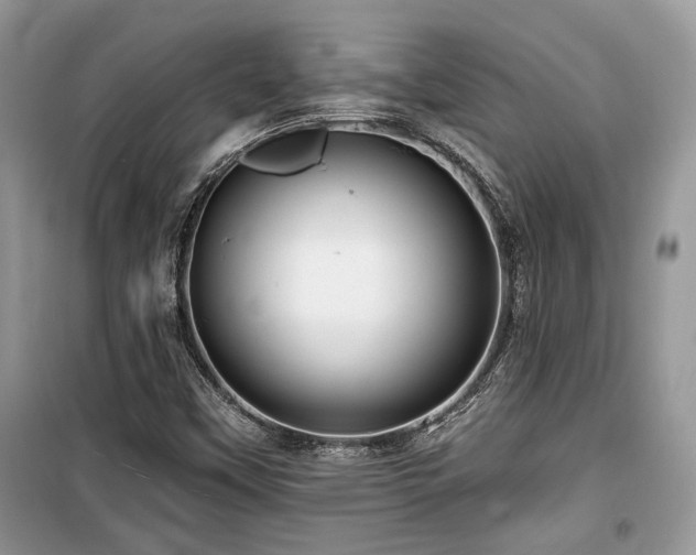 X0000099561451200805161440
