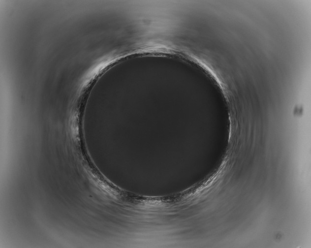 X0000099561455200805161440