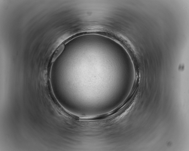 X0000099561457200805161440