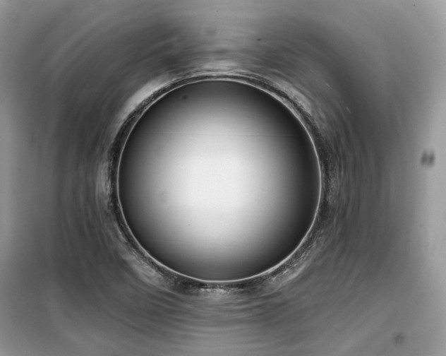 X0000099561458200805161440