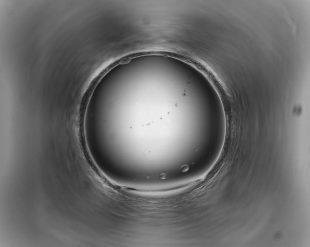 X0000099561460200805161440