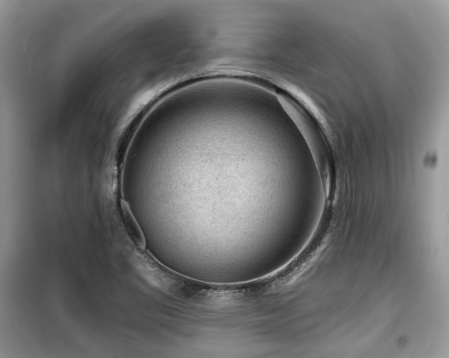 X0000099561461200805161440