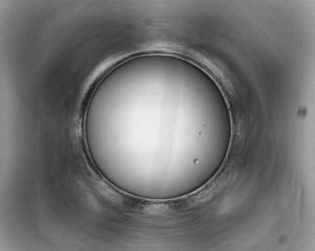 X0000099561462200805161440