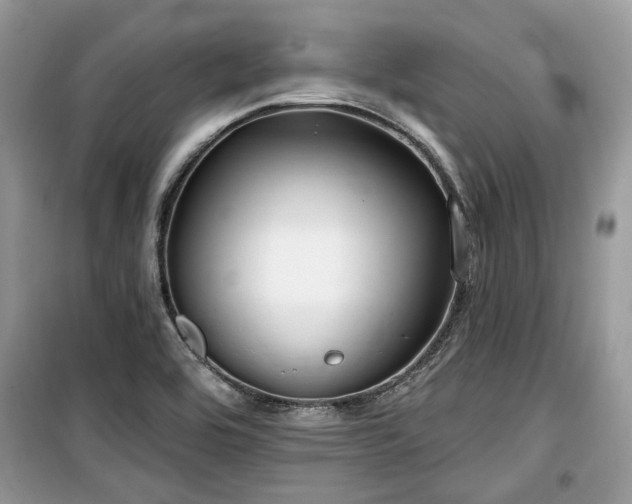 X0000099561464200805161440
