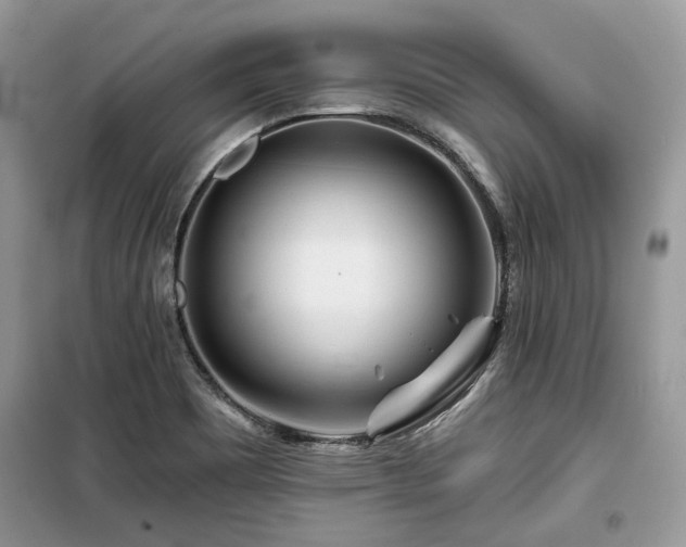 X0000099561465200805161440