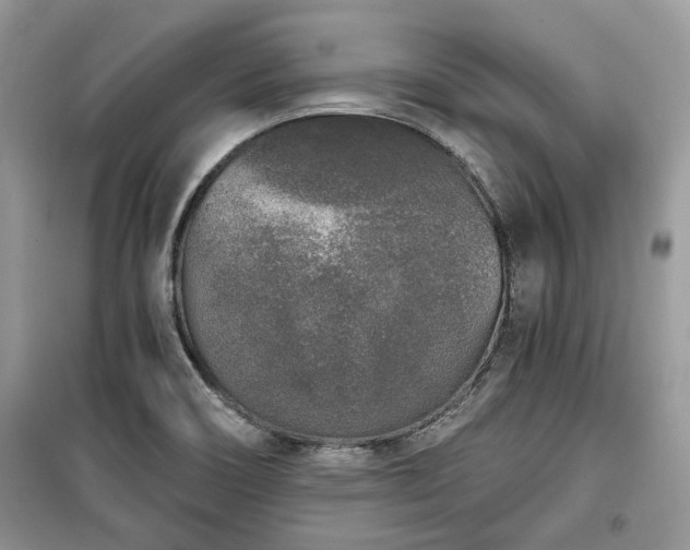 X0000099561466200805161440