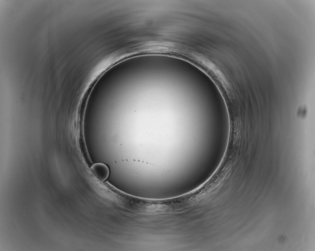 X0000099561467200805161440