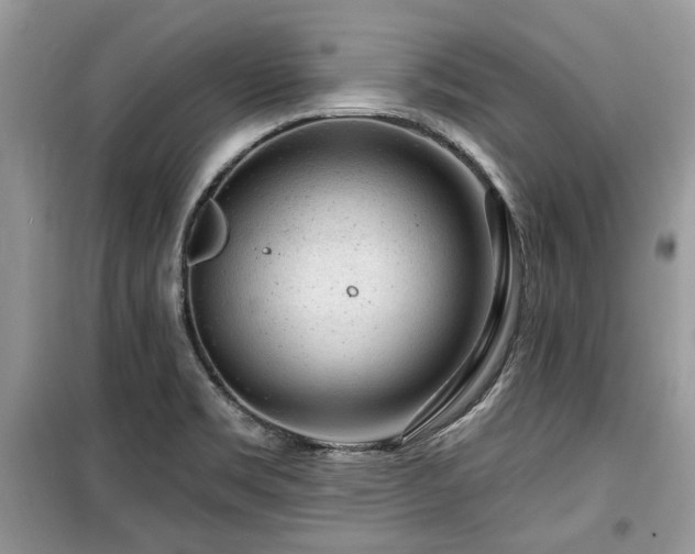 X0000099561469200805161440