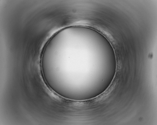 X0000099561470200805161440