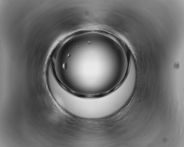 X0000099561472200805161440
