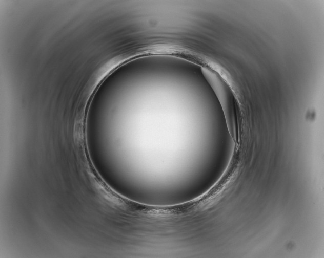 X0000099561473200805161440