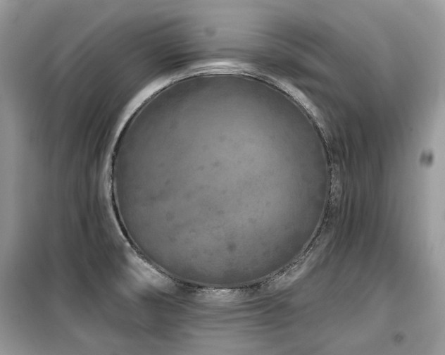 X0000099561474200805161440