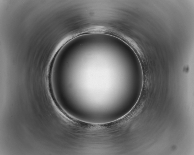 X0000099561475200805161440