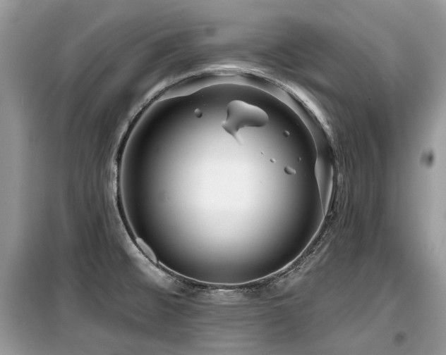 X0000099561476200805161440