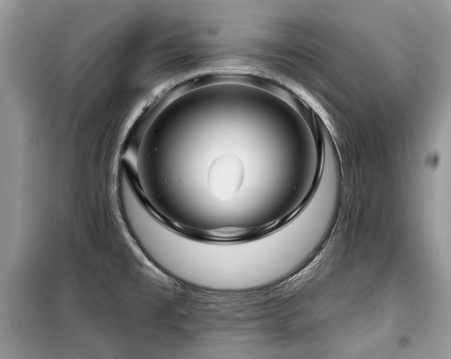 X0000099561477200805161440