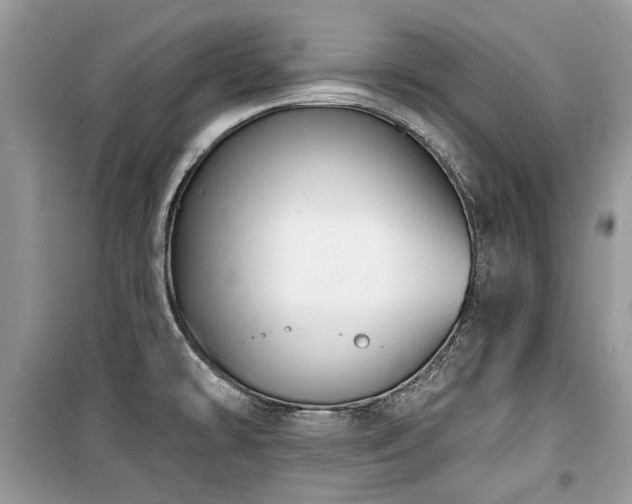 X0000099561478200805161440
