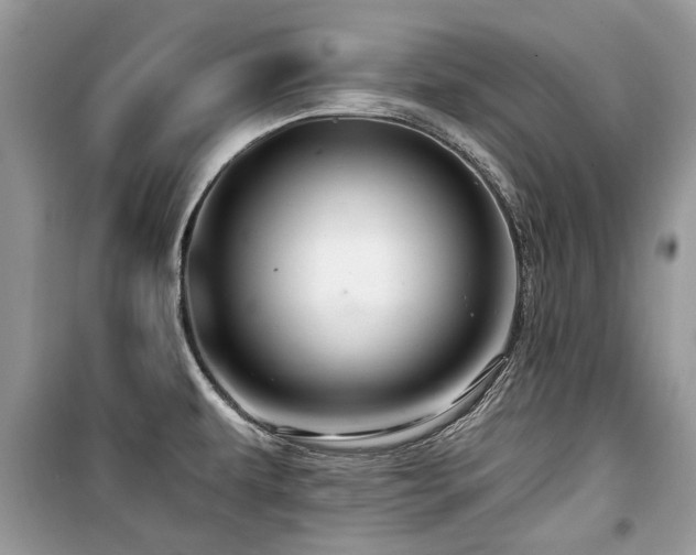 X0000099561479200805161440