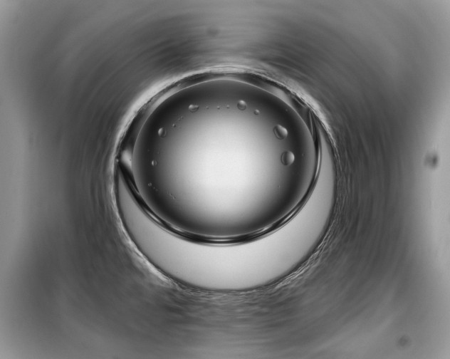 X0000099561480200805161440