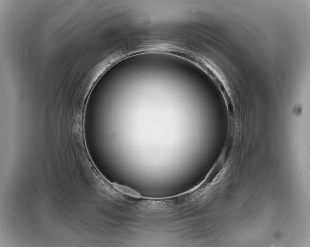 X0000099561481200805161440