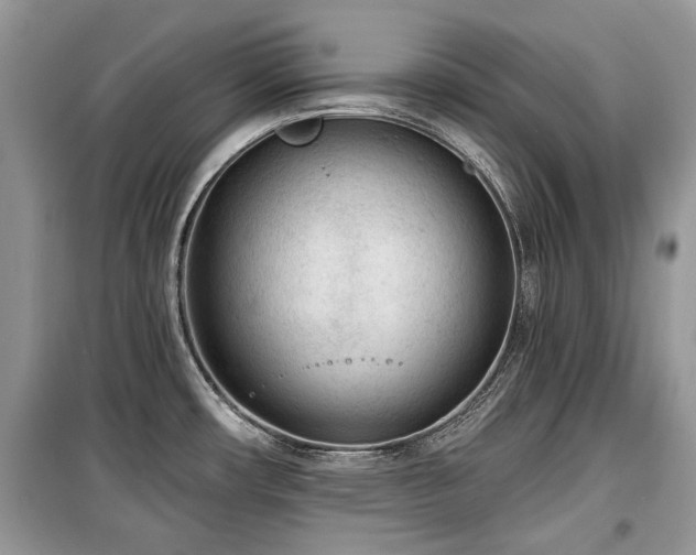 X0000099561482200805161440