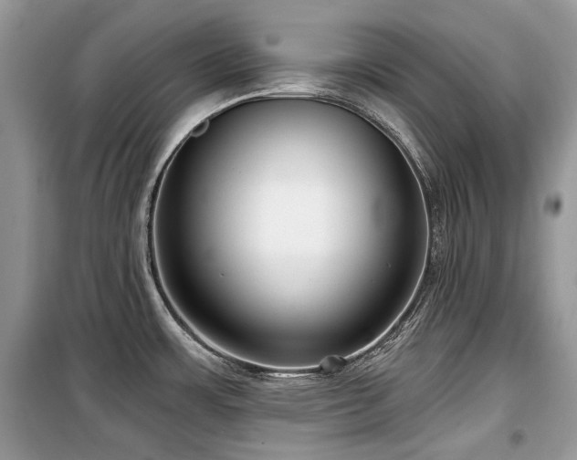 X0000099561483200805161439